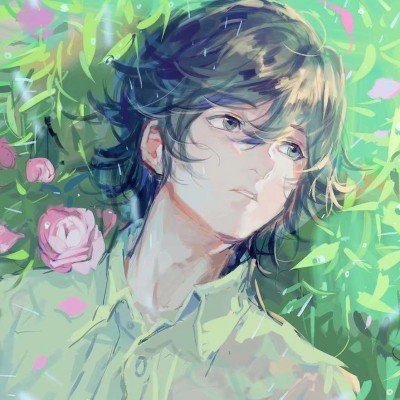 浪姐二公直播
